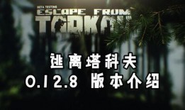 塔科夫金邊最新爆料,揭秘游戲內(nèi)重大更新與未來(lái)走向