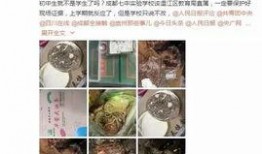 最新爆料有害食品有哪些,揭秘近期曝光的有害食品黑名單
