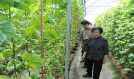 瑞安吃瓜最新事件爆料是真的嗎,最新爆料真相揭秘