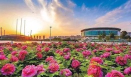 洛陽植物園最新爆料,探秘植物界的“秘境奇觀”