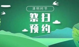 清明最新爆料,重磅爆料揭秘幕后故事