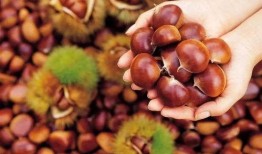 栗子最新爆料,揭秘娛樂圈最新熱點事件