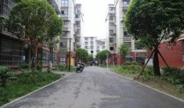 城南小區最新爆料,揭秘神秘事件背后的真相