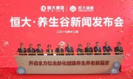 佳潤最新爆料消息新聞發布會,新聞發布會深度解析行業動態與熱點事件