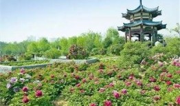 洛陽植物園最新爆料,探秘植物界的“秘境奇觀”