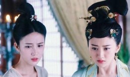 丫環(huán)最新爆料,宮廷秘聞背后的驚人真相