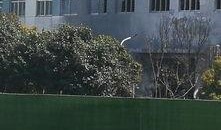 江蘇昆山爆料事件最新,真相與爭(zhēng)議交織的懸疑劇