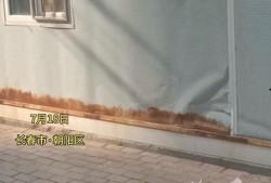 長春核酸爆料最新消息,揭秘病毒檢測背后的故事