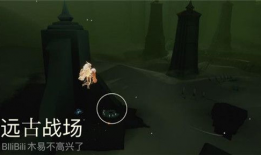 光遇冥想季最新爆料,揭秘神秘新元素與浪漫冒險之旅