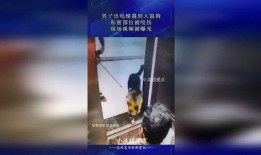 狼狗最新爆料視頻,揭秘神秘事件內幕