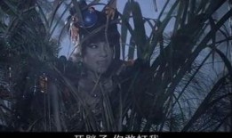 終結杉計劃20最新爆料,揭秘最新爆料背后的驚人真相