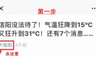 信陽資訊通最新爆料,最新爆料事件深度解析