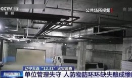 大連事件爆料視頻最新,視頻揭露驚人真相