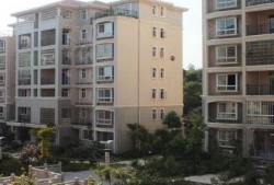 南水國際最新爆料,最新爆料背后的驚人真相