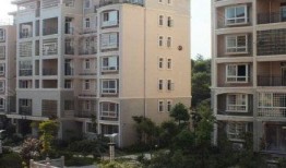 南水國(guó)際最新爆料,最新爆料背后的驚人真相