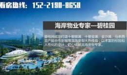 吳川最新爆料網站大全,一網打盡熱門資訊平臺