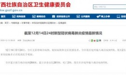 廣西最新爆料視頻網站,揭秘熱門視頻網站幕后故事