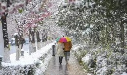 昆明爆料下雪事件最新情況,市民歡聲笑語迎瑞雪