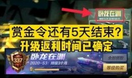 臥龍在淵賞金令最新爆料,神秘勢力浮出水面，揭秘幕后黑手