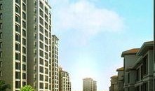 南水國(guó)際最新爆料,最新爆料背后的驚人真相