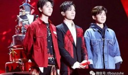 王俊凱視頻最新爆料,獨(dú)家爆料背后的故事與驚喜