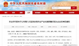 合肥企業爆料事件最新消息,揭秘背后真相與影響