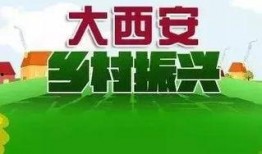 西安早安爆料新聞最新視頻,最新視頻揭秘城市熱點(diǎn)事件
