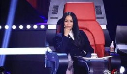 最新爆料那英過往視頻,揭秘歌手背后的故事與爭議