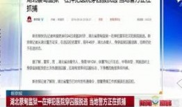 湖北蔡甸區(qū)爆料新聞最新,最新爆料揭示驚人真相