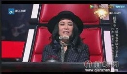 最新爆料那英過往視頻,揭秘歌手背后的故事與爭議