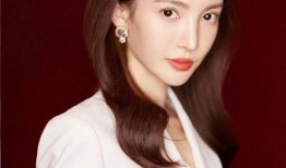 邢菲最新爆料消息視頻大全,揭秘幕后故事與精彩瞬間