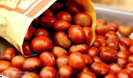 栗子最新爆料,揭秘娛樂圈最新熱點事件