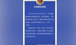 鎮(zhèn)江寵物爆料事件最新進展,最新調(diào)查結(jié)果及后續(xù)進展揭曉