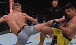 科查德最新形態爆料,顛覆傳統，引領未來科技潮流