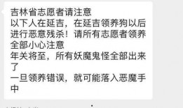 吉林志愿者爆料視頻最新,揭露疫情下的真實情況