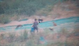 曹先生最新爆料,娛樂圈最新爆料大揭秘！