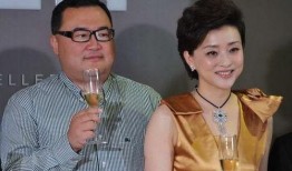 楊瀾最新爆料新消息,揭秘娛樂圈驚人內幕！